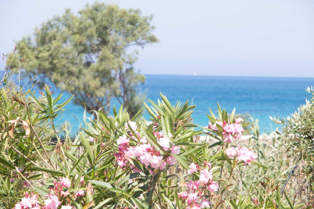 Villa Yialos Antiparos ภายนอก รูปภาพ